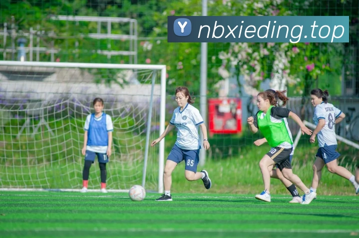 博亚娱乐app官方网站平台生态图